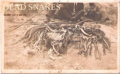 dead snakes logo